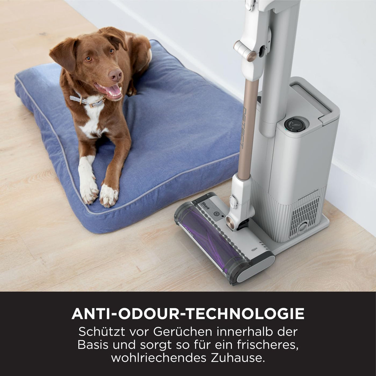 Shark IW3612EUT Akkusauger + Entleerungsstation