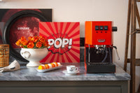 Gaggia Classic E24 - Messingkessel
