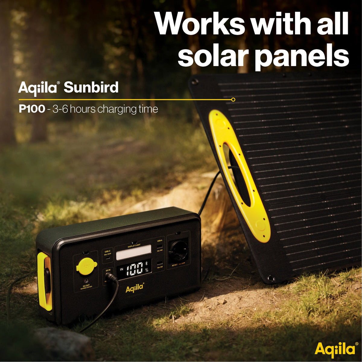 Aqiila Power Station - POWERBIRD S300