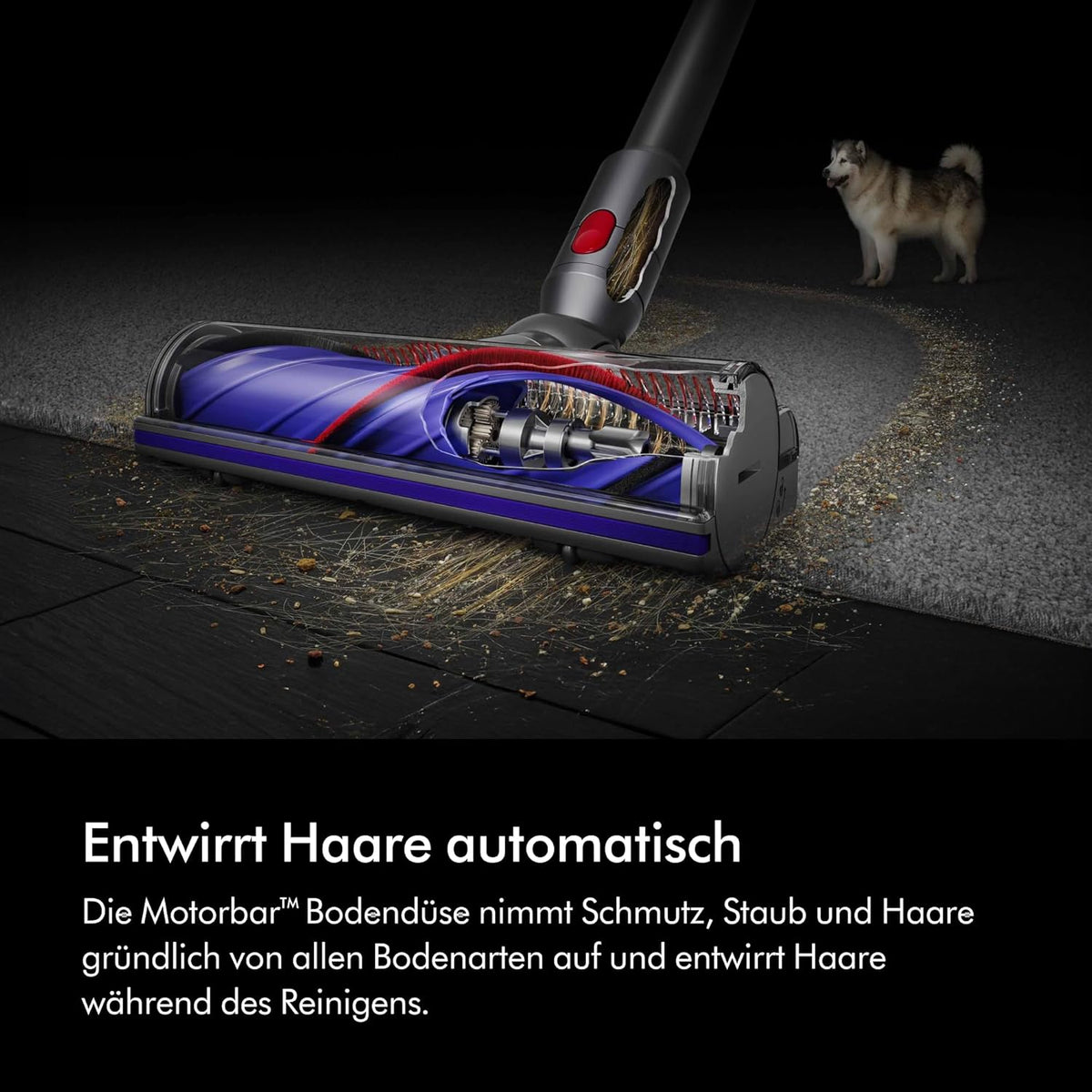 Dyson V8™ Advanced kabelloser Staubsauger (Silber/Nickel)