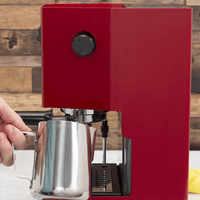 Gaggia Classic E24 - Messingkessel