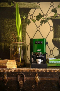 Gaggia Classic 5 Jahre Garantie EVO Pro E24 Grün - Kaffeewelt